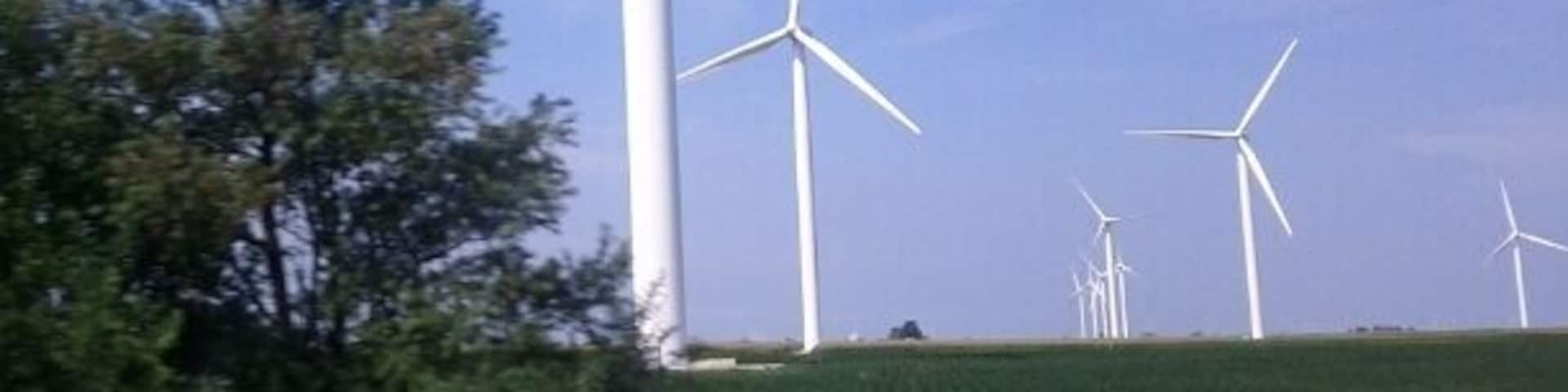 Just a glimpse of the giant wind farm that lines both sides of I-65 as far as the eye can see.