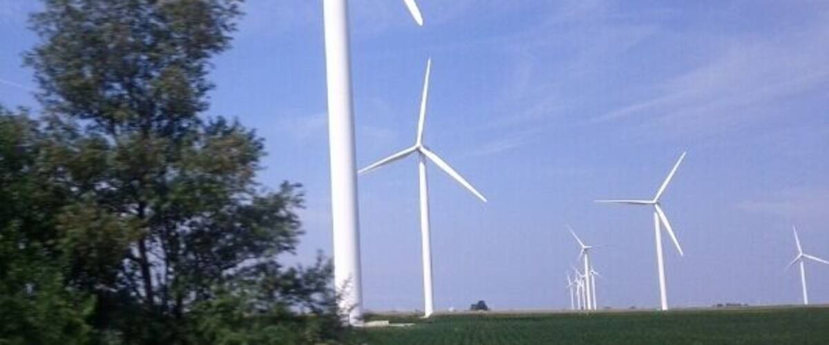 Wind turbines in a field with a clear sky.