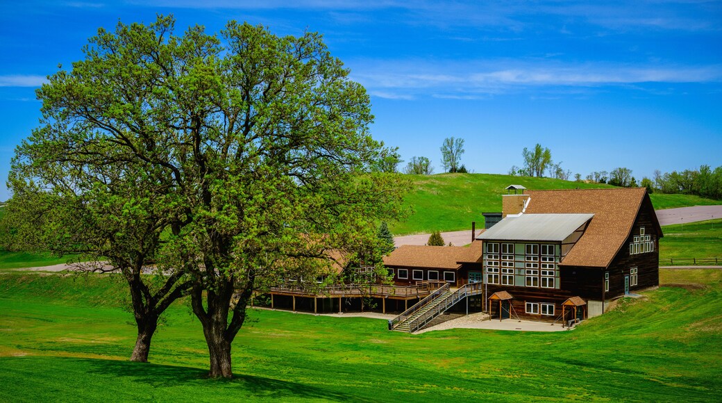 Tranquil Vibrant Springtime Landscape with tall oak trees and houses nestled at Great Bear Ski Valley in South Dakota, USA