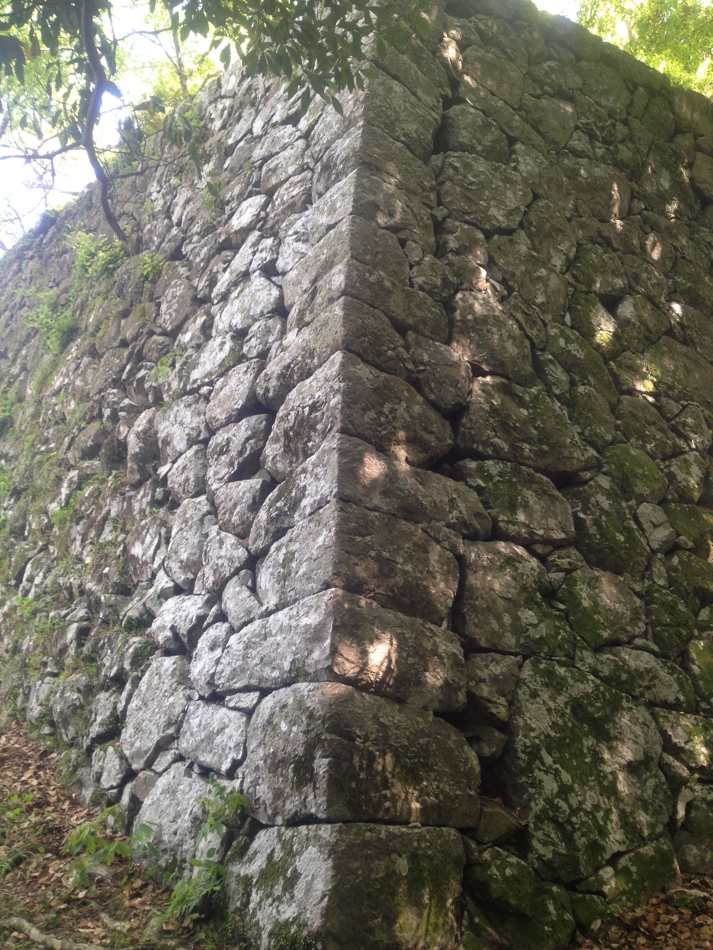 豊後国大分県佐伯市にあった佐伯城の本丸石垣北西隅部分