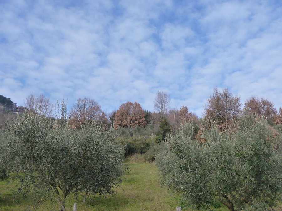 La campagna intorno a Gavignano