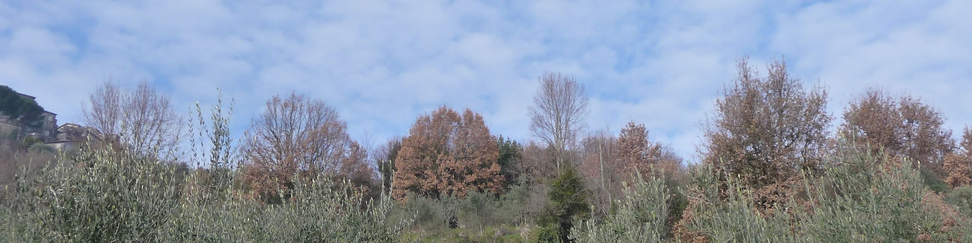 La campagna intorno a Gavignano