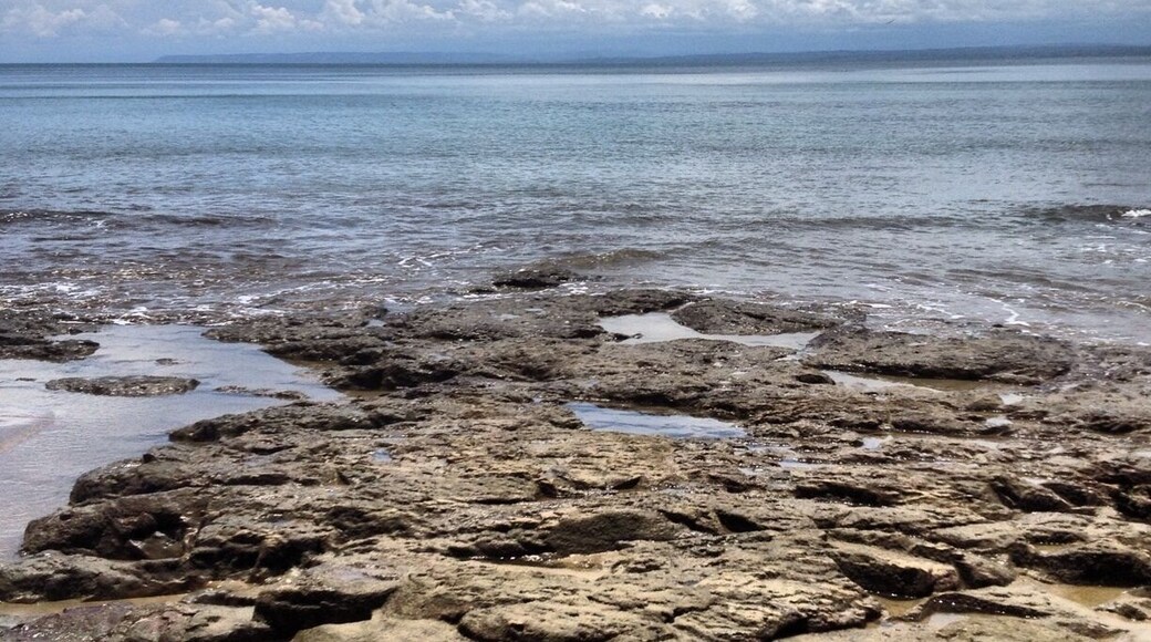 Super flat sea - transparent and loaded with curious fossilized rocks - tons of macaws fly over this tropical paradise