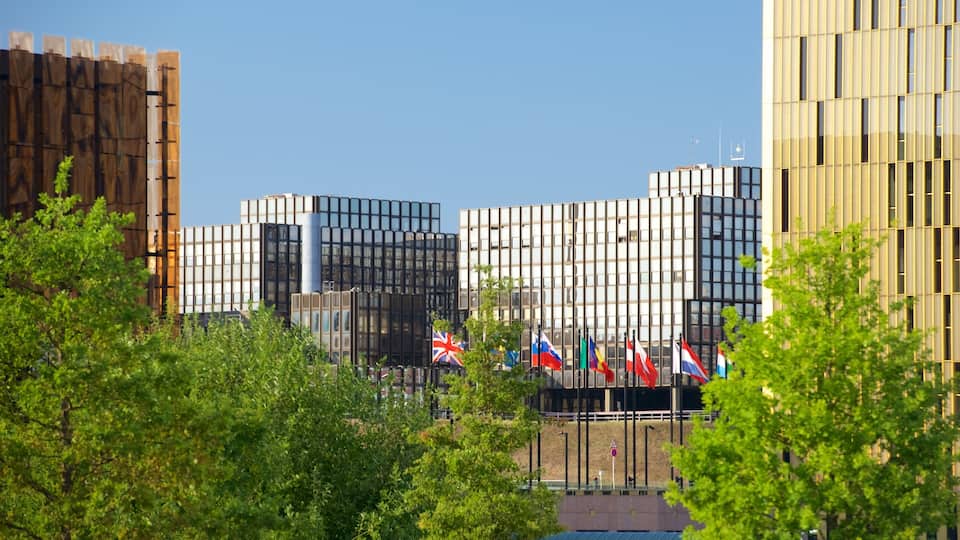 Luxembourg showing a city and modern architecture