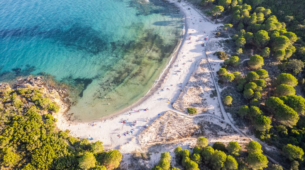 Aerial view of Fautea beach along the coast in summertime, Corse island, France.