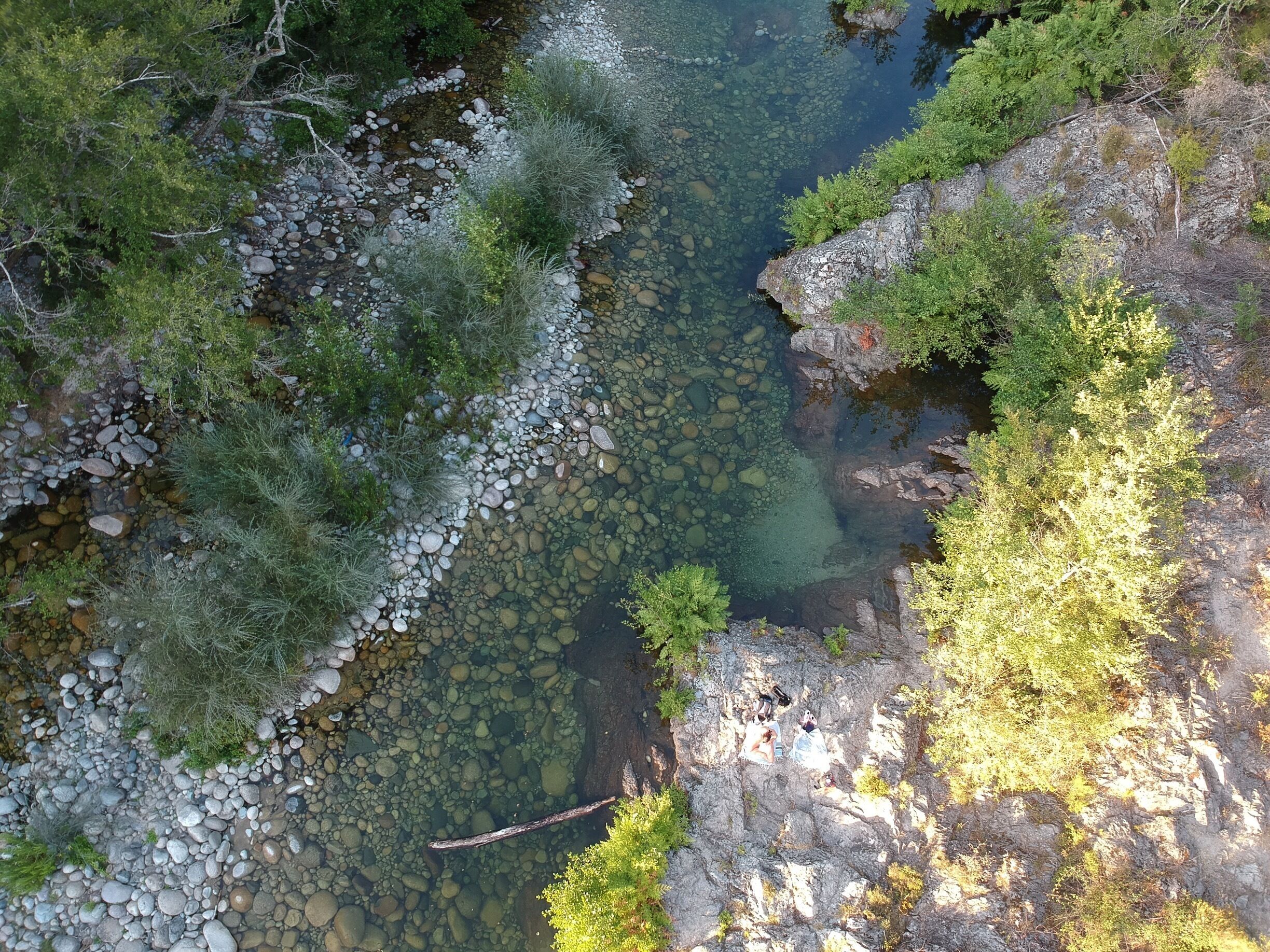 A clear stream surrounded by rocks and greenery.