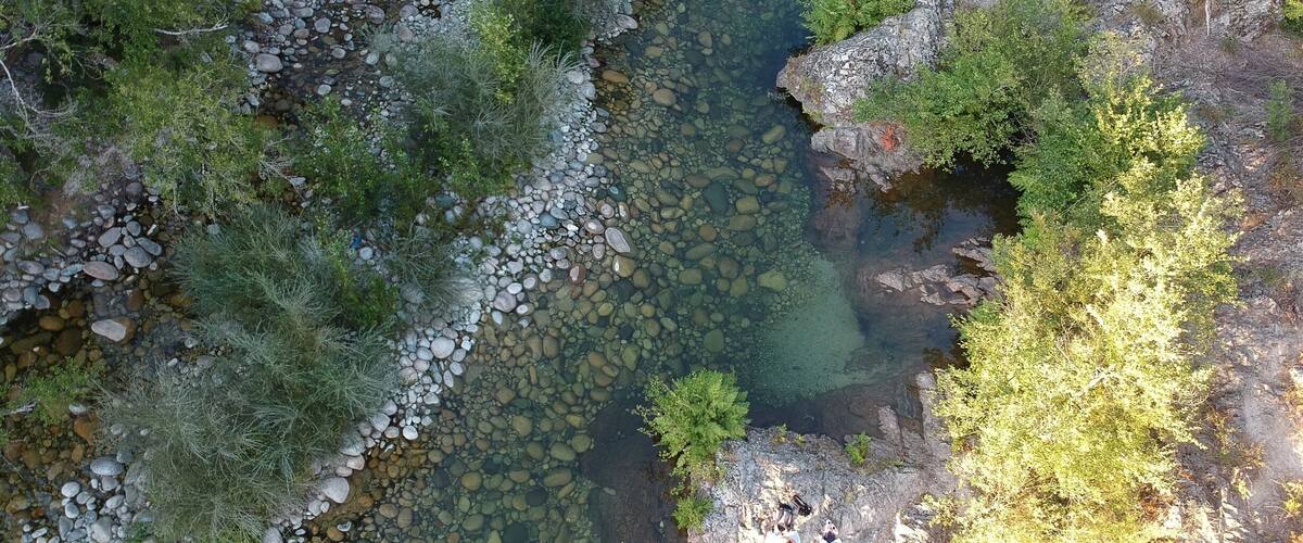 A clear stream surrounded by rocks and greenery.