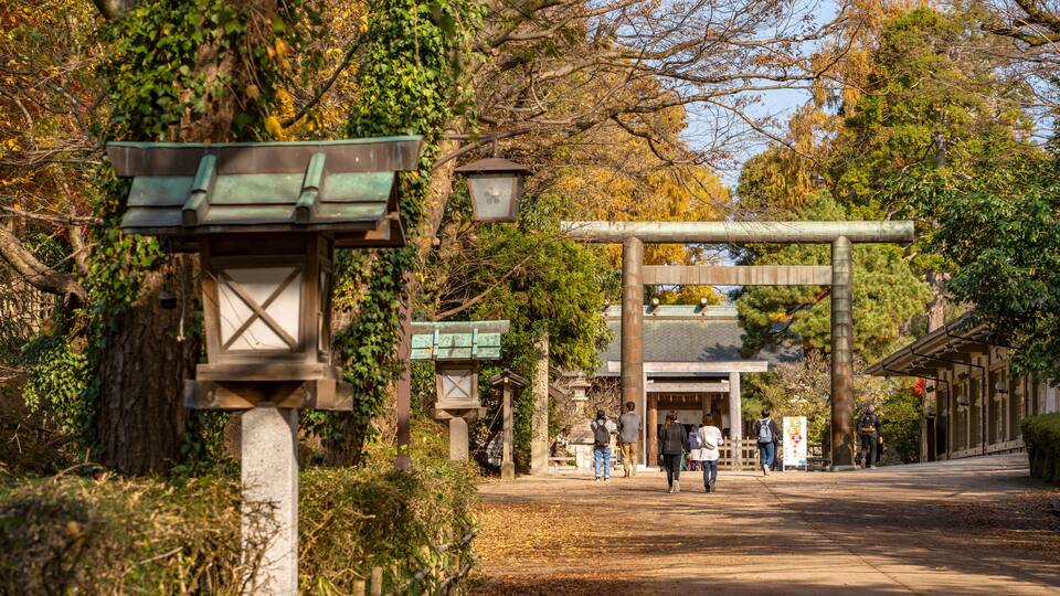 A traditional Japanese torii gate pathway with stone lanterns and a wooden structure in a forested area.