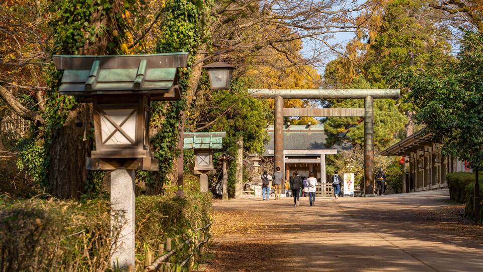 A traditional Japanese torii gate, a stone lantern, and a pathway leading to a building.
