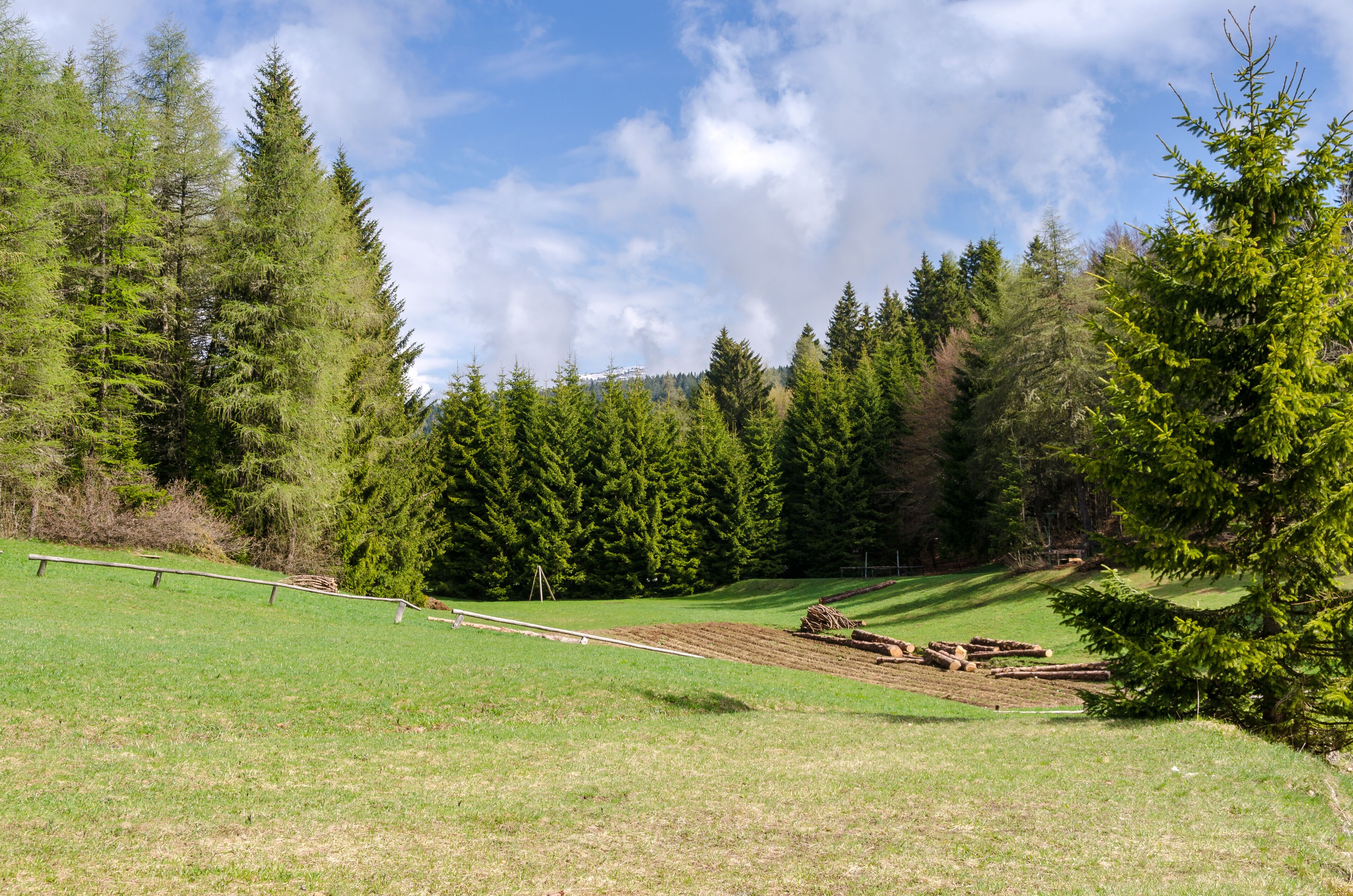 paesaggio di montagna sull'altopiano della Predaia in Trentino