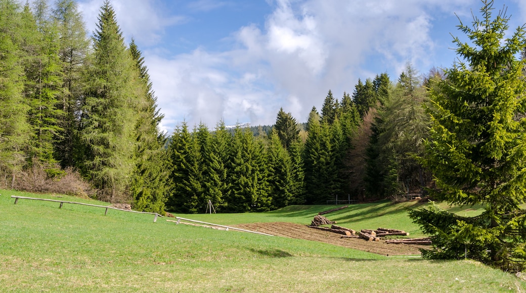 paesaggio di montagna sull'altopiano della Predaia in Trentino