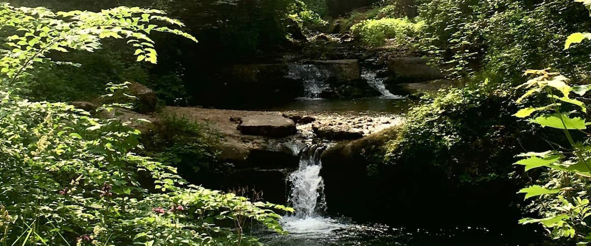 #TakeAHike #waterfall #valdinon #alps #trentino #italy #green