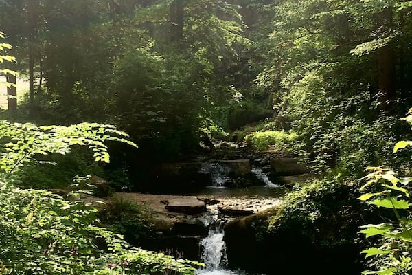 Ein bewaldetes Gebiet mit einem kleinen Wasserfall.