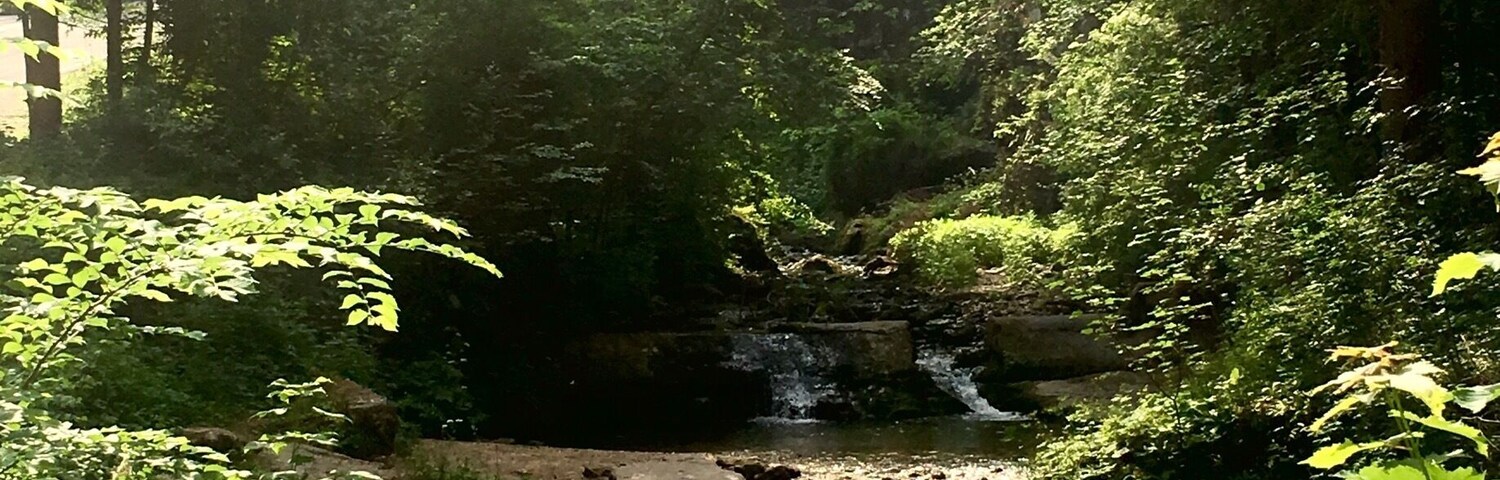 #TakeAHike #waterfall #valdinon #alps #trentino #italy #green