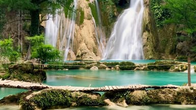 The Huasteca Potosina is a region of unsurpassed natural beauty, almost untouched, and rarely visited by foreigners.