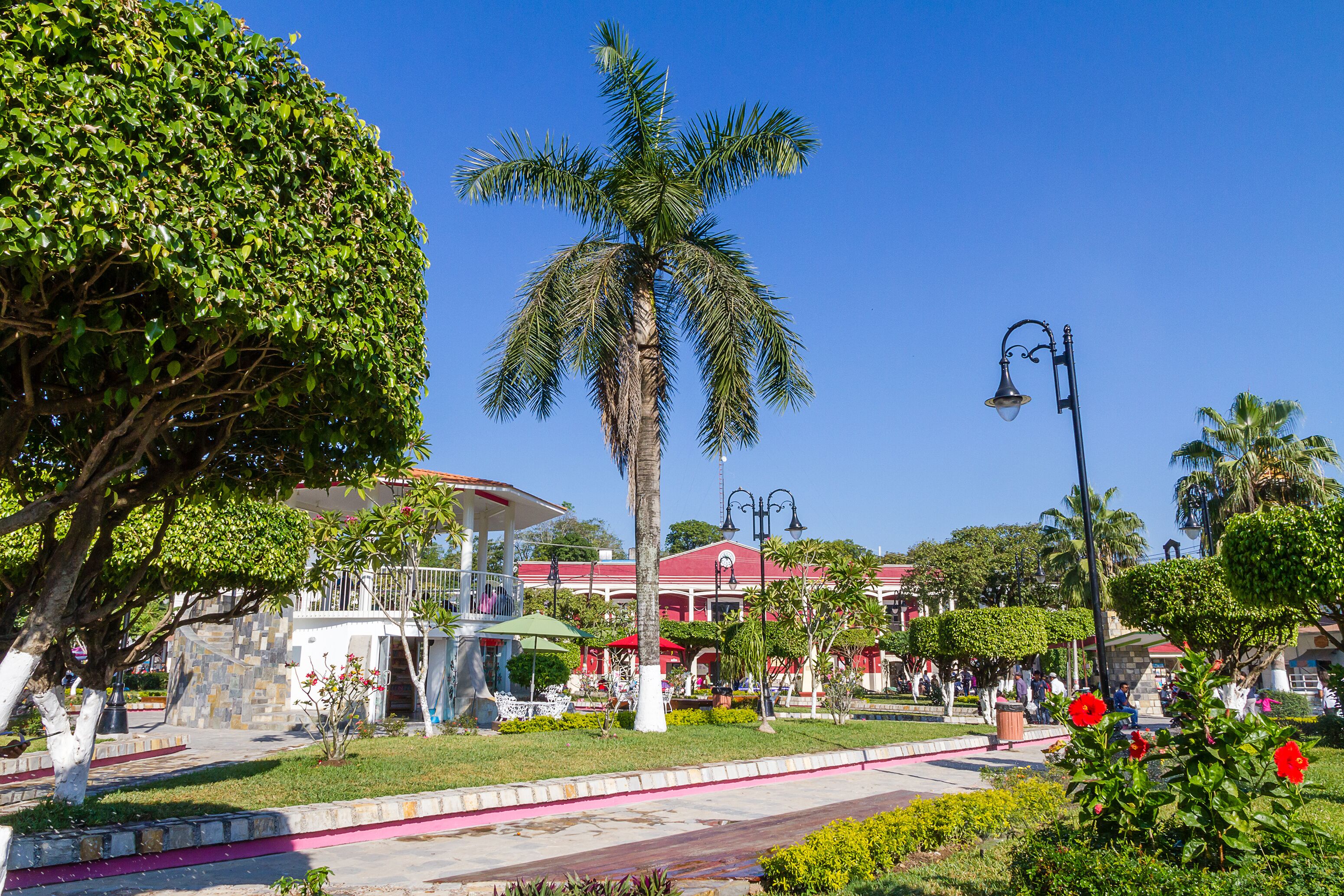 A well-maintained park with a prominent palm tree, a gazebo, and a building with a red roof.