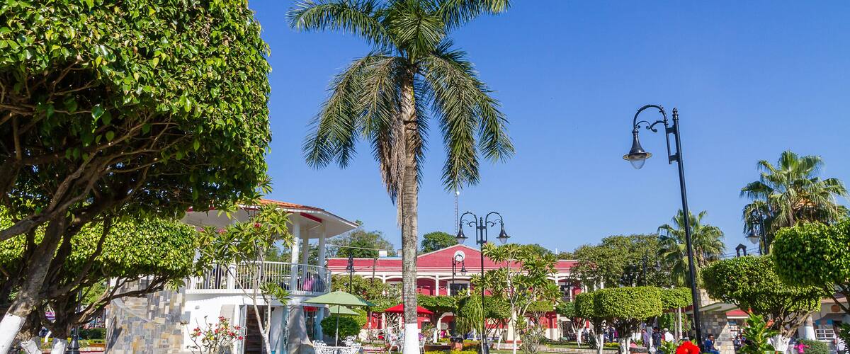 A well-maintained park with a prominent palm tree, a gazebo, and a building with a red roof.