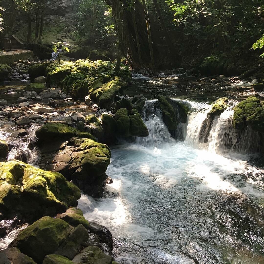 Tambaque a swimming pool of crystalline waters in Aquismon San Luis Potosí, México Huasteca Potosina
