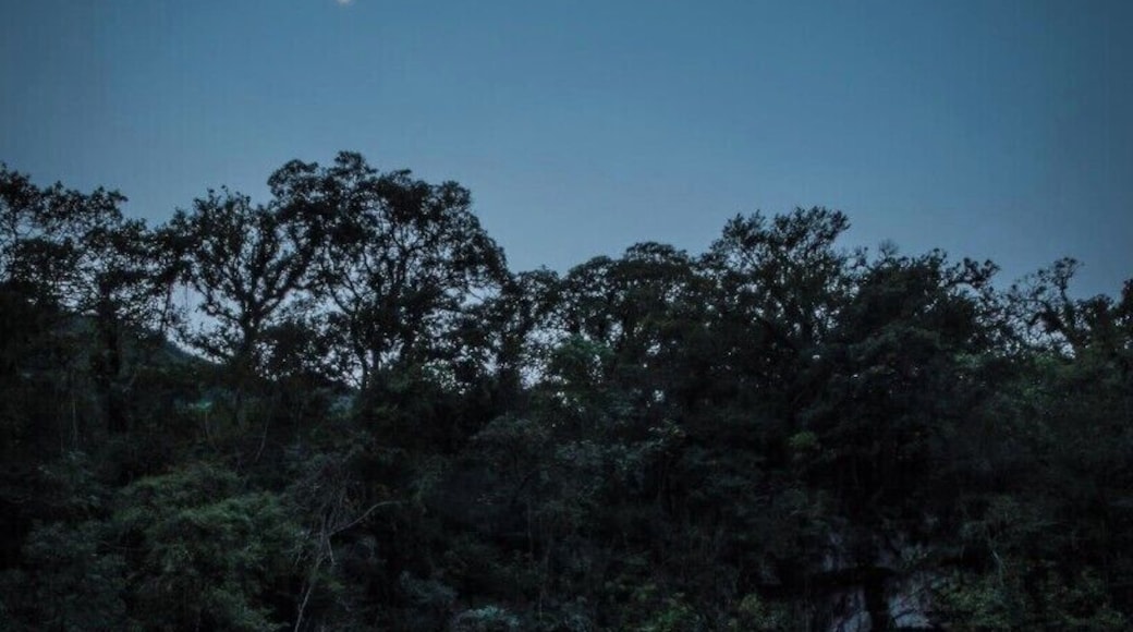 The moon setting over the famous Sótano de las Golondrinas, a natural abysm more than 500 meters deep, home to thousands of different kinds of birds.