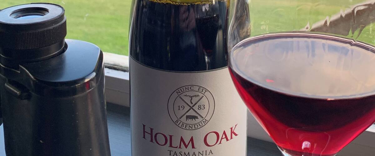 A bottle of Holm Oak Tasmanian Pinot Noir and a glass of red wine on a windowsill with a scenic view of green hills and a cloudy sky.