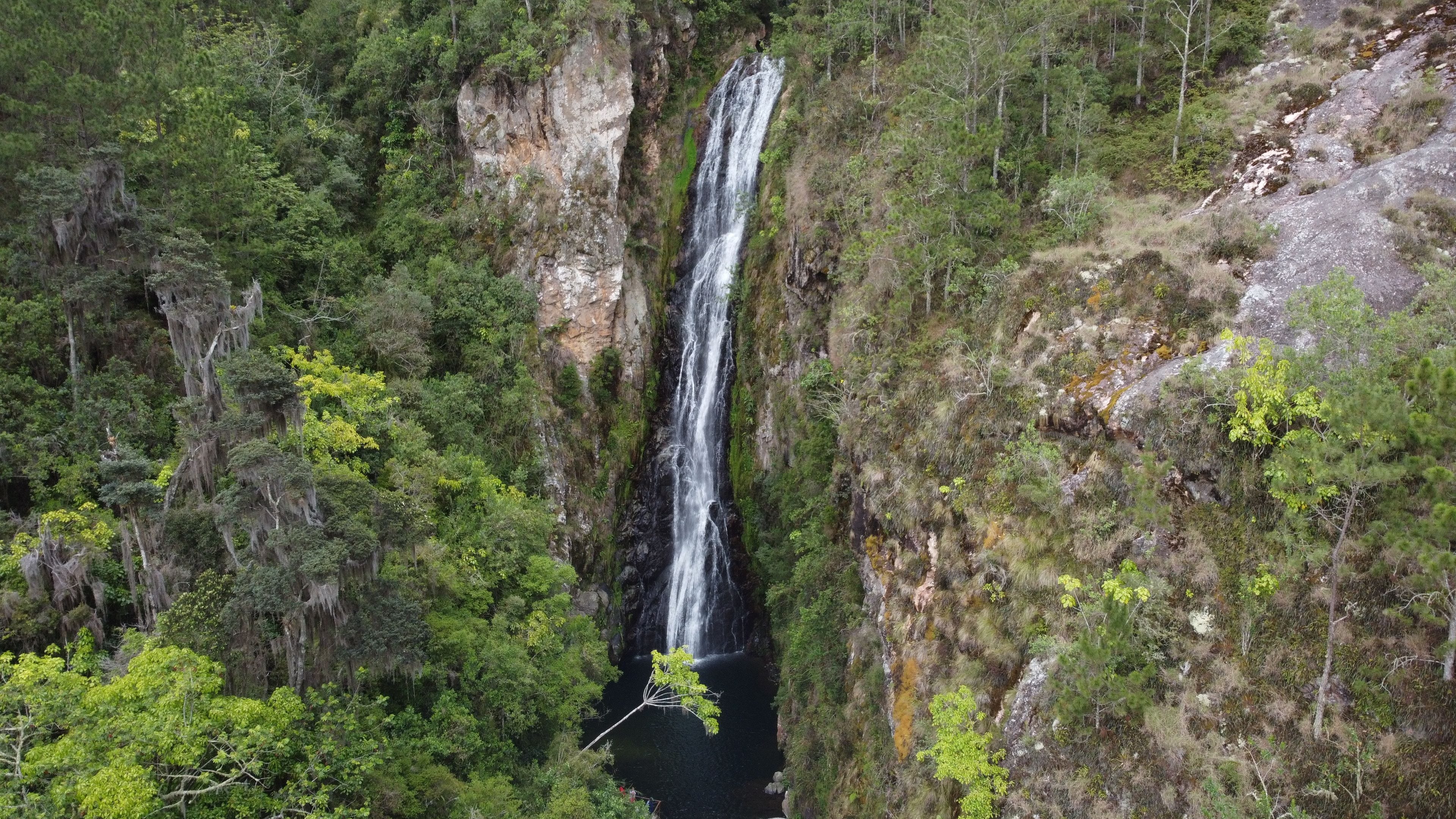 Uma cascata despenca por um penhasco íngreme, cercada por floresta densa.
