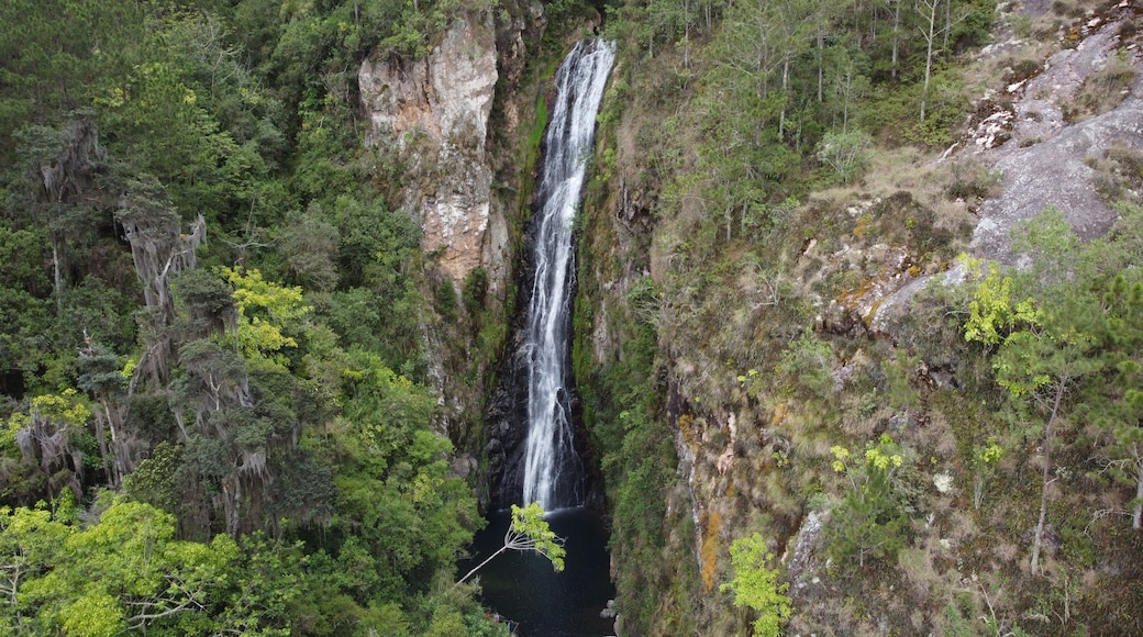 Uma cascata despenca por um penhasco íngreme, cercada por floresta densa.