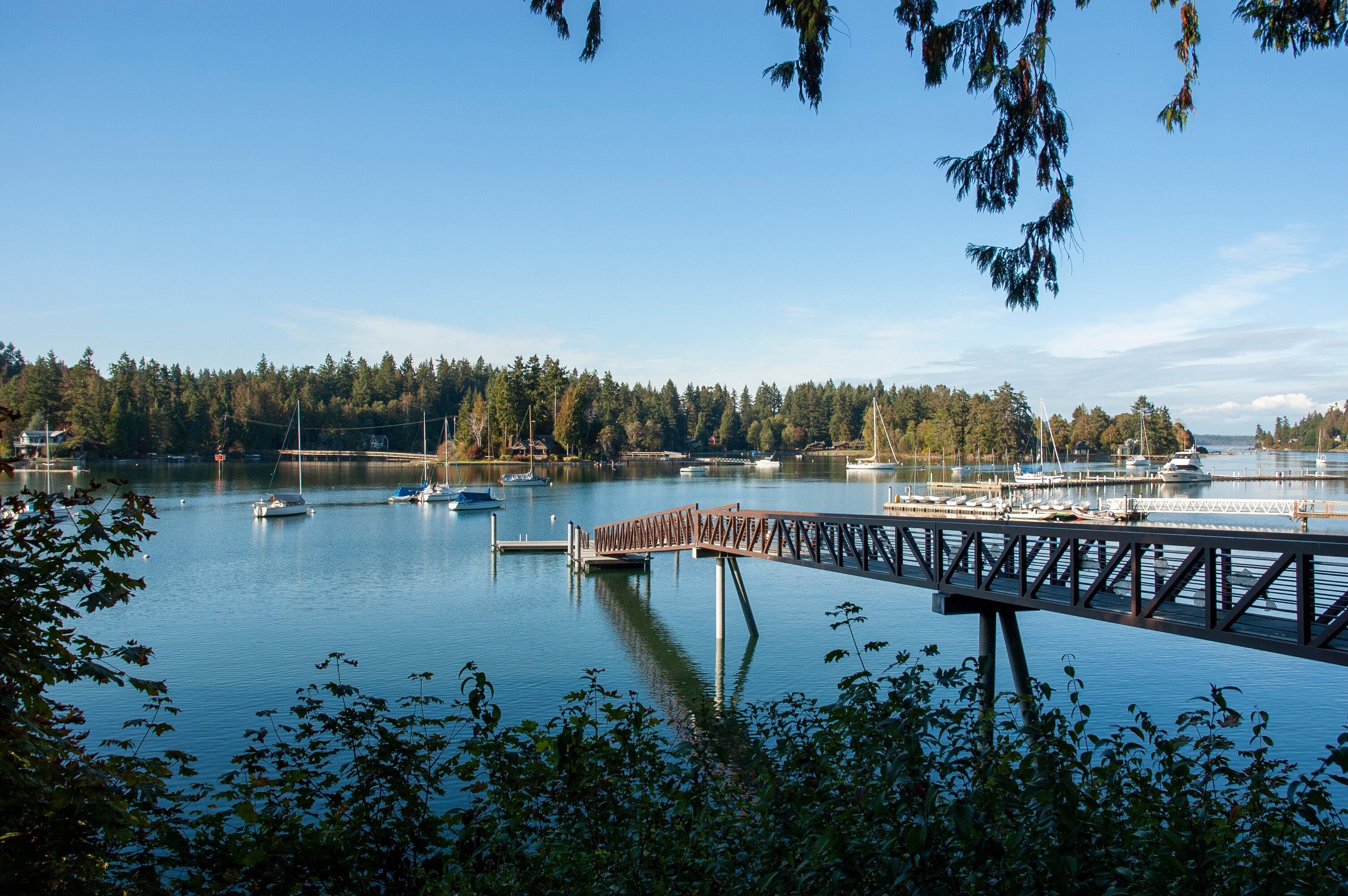 Bainbridge