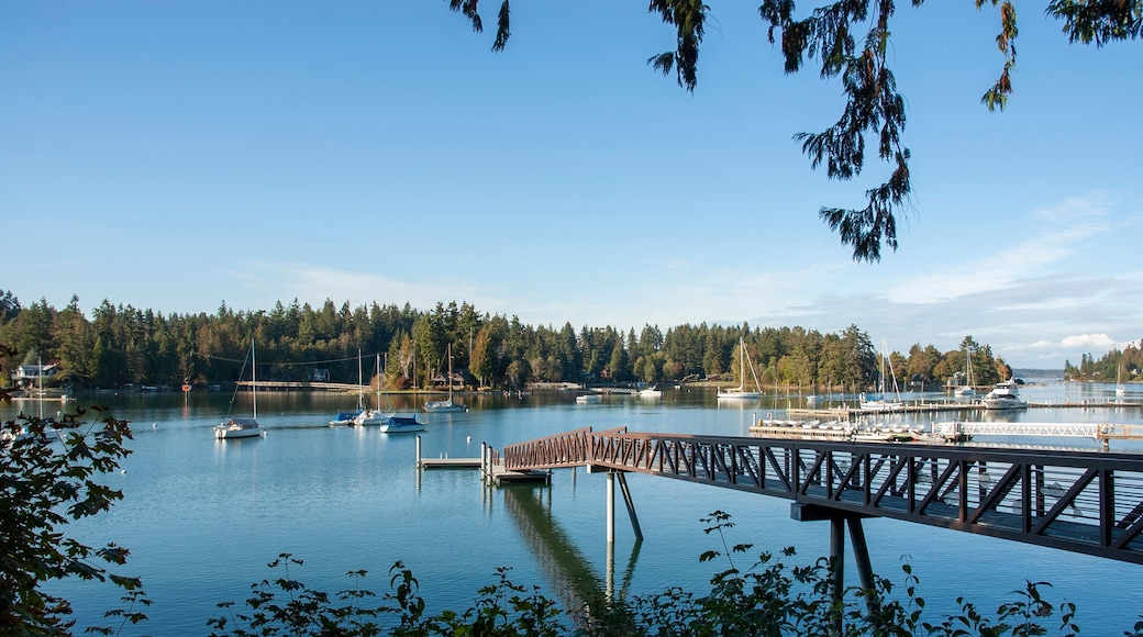 Bainbridge