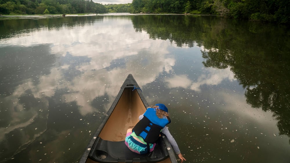 A young girl sits in the bow of a canoe on a slow river