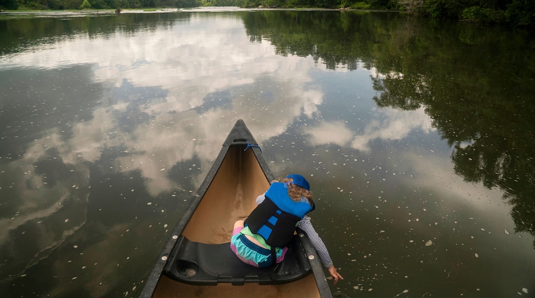 A young girl sits in the bow of a canoe on a slow river