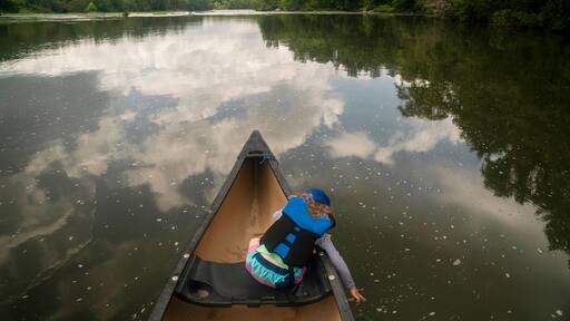 ベインブリッジ