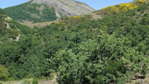 Landscape near Piedrasecha (Carrocera, León, Spain).