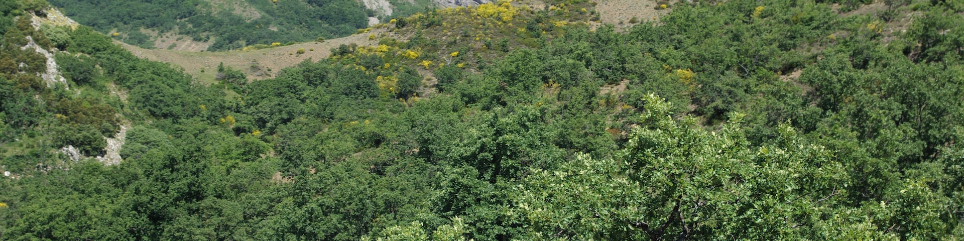 Landscape near Piedrasecha (Carrocera, León, Spain).
