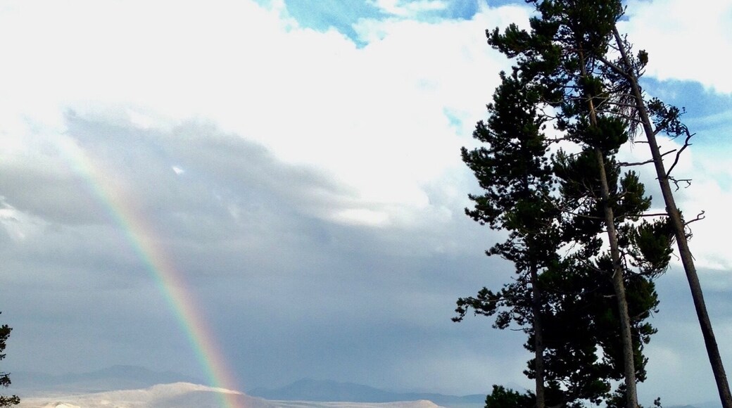 Spotted a rainbow coming out of the Lake Yellowstone ranger station. Beautiful views even from the parking lot!