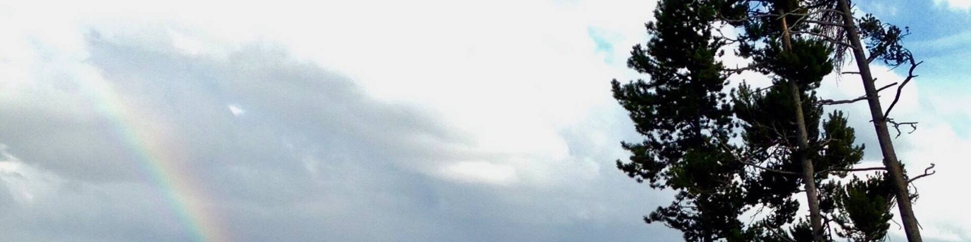 Spotted a rainbow coming out of the Lake Yellowstone ranger station. Beautiful views even from the parking lot!