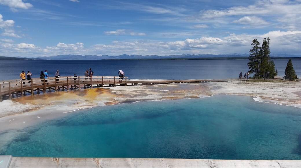 West Thumb Geyser Basin in Yellowstone National Park is a lesser-known destination but offers beautiful views of hot colorful pools next to Yellowstone Lake. Worth the easy hike!
#UStravel
#Yellowstone
#NationalPark
#Wyoming
#colorful
#blue
#bucketlist