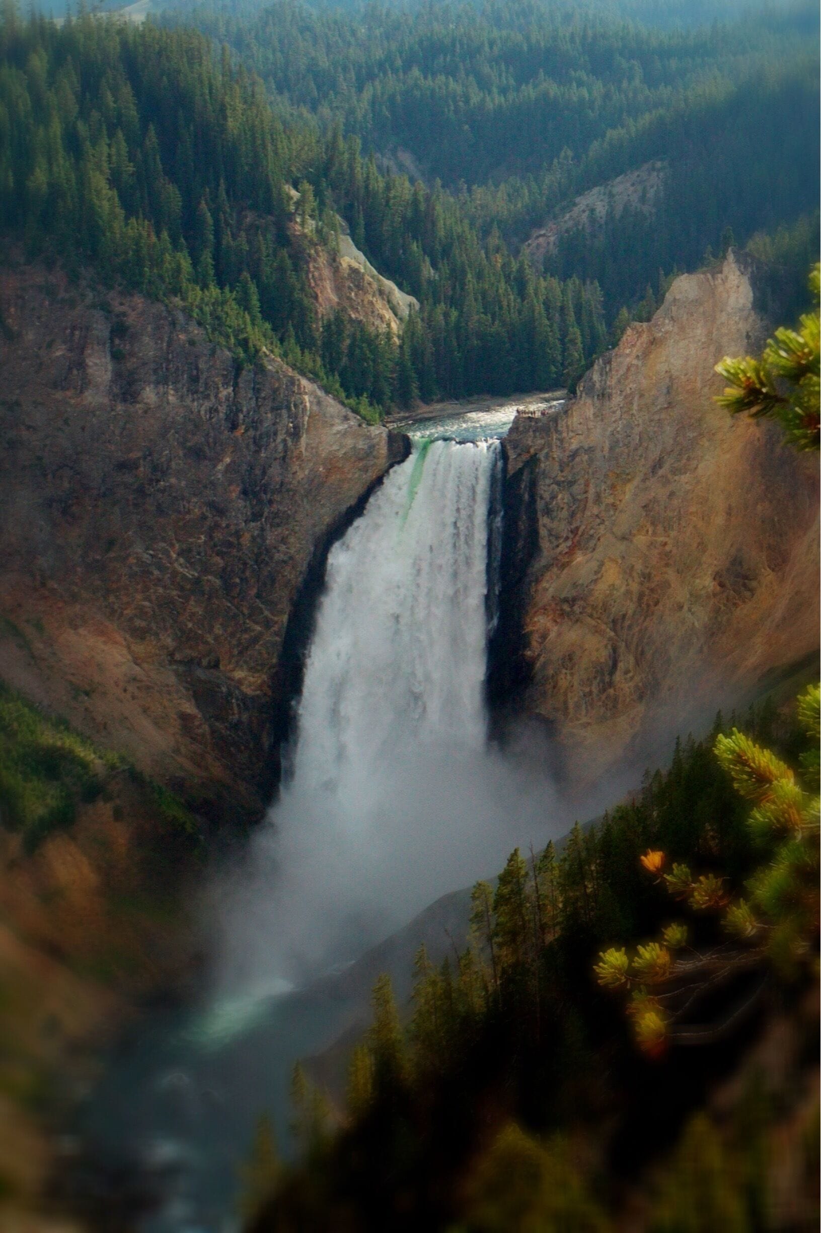 The Grand Canyon of the Yellowstone offers different dramatic looks and moods dependent on the time of day. The falls are luminous in the morning. In the evening when this photo was taken, the canyon takes on a soft, almost painterly light. If you can, make a visit right after sunrise and return for the sunset.