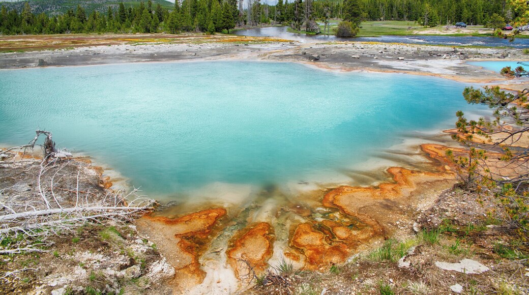 The colors of the hot springs in the Biscuit Basin of Yellowstone National Park simply must be seen to believed. #yellowstone #nationalpark #wyoming