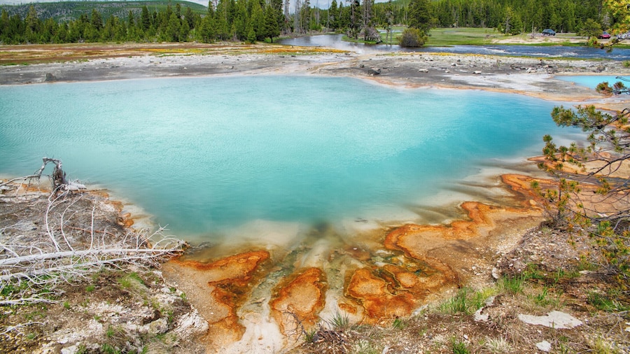 The colors of the hot springs in the Biscuit Basin of Yellowstone National Park simply must be seen to believed. #yellowstone #nationalpark #wyoming