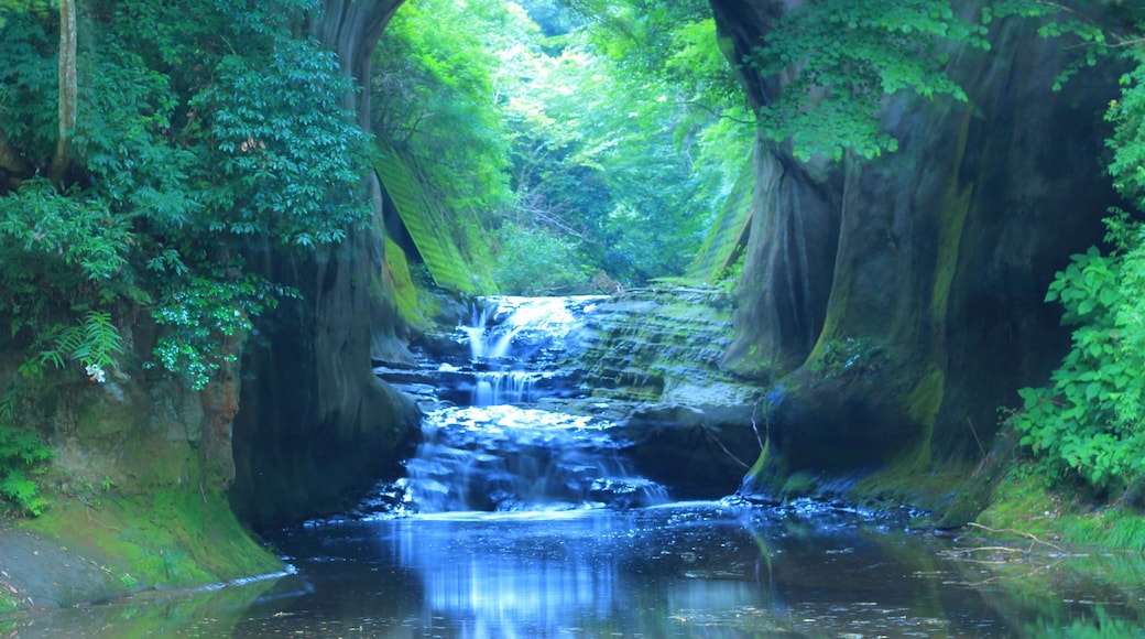 Kimitsu