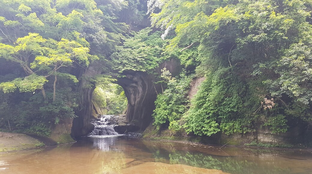 A wonderfull day in Chiba prefecture, here at Kemeiwa Cave before going on a little hike.
#japan #chiba #kameiwa #cave #water #woods #nature