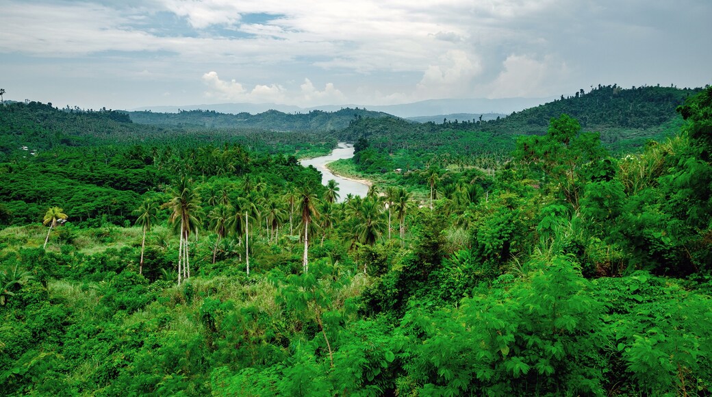 Compostela valley with river view