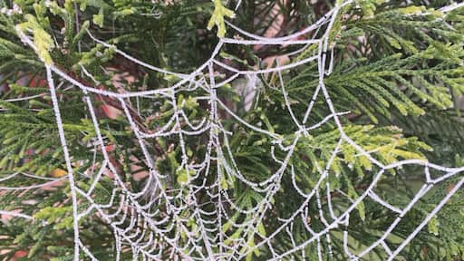 Veneto is top for Red Wine Amarone and there is one of the most beautiful place, Valpolicella!