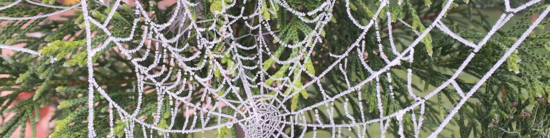 Veneto is top for Red Wine Amarone and there is one of the most beautiful place, Valpolicella!