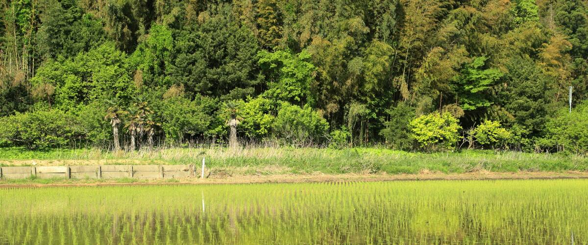 The landscape of Satoyama.The country with hills and fields, a field and a rice paddy is called Satoyama in Japan. This picture was taken in Inzai city in Chiba prefecture.
