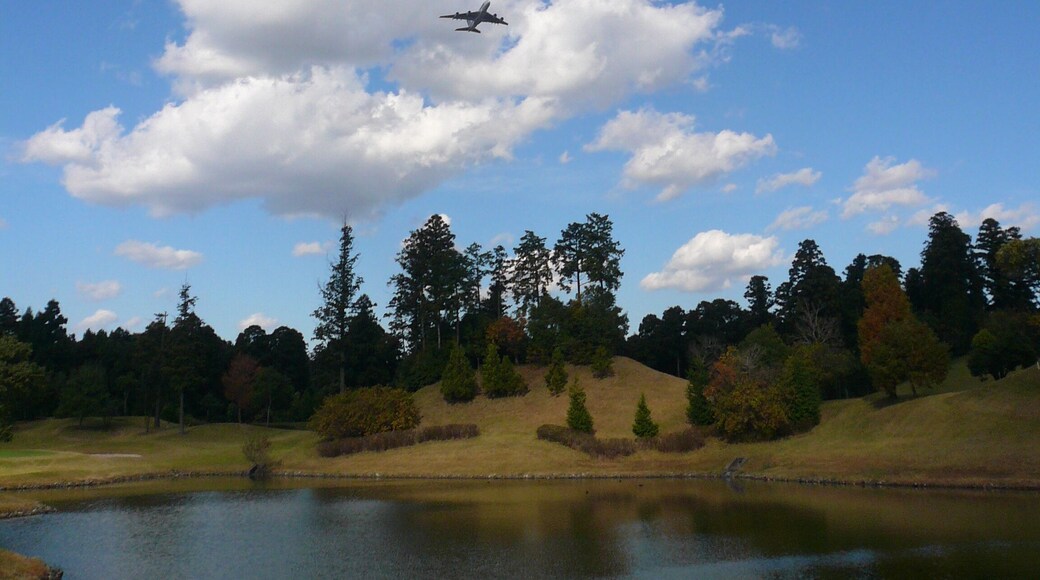 Odai, Shibayama, Sanbu District, Chiba Prefecture 289-1605, Japan
