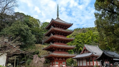 Une pagode traditionnelle à plusieurs niveaux, entourée d’une végétation luxuriante et surplombée d’un ciel dégagé.