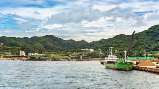 Coast of the Bōsō Peninsula with the loop ramp of the Futtsu Kanaya Interchange along the Uraga Channel and a sand carrier ship mooring in front of the Mount Nokogiri.