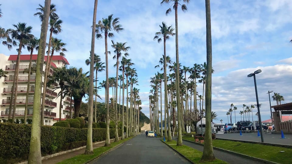 A street lined with tall palm trees and a building with a red roof.