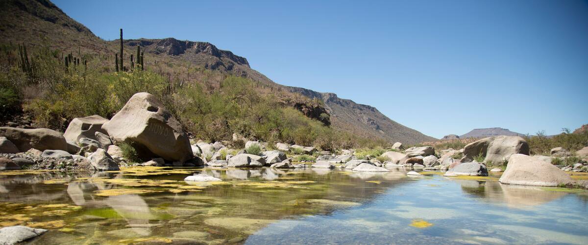 A clear stream with rocks and a mountain in the background.